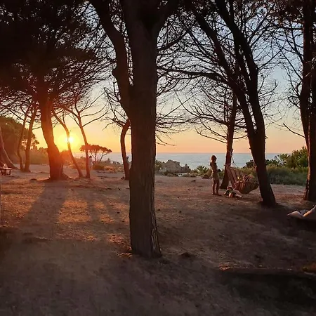 Beach Home Sardegna Calarossa- Spectacular Views&Snorkeling Lejlighed *